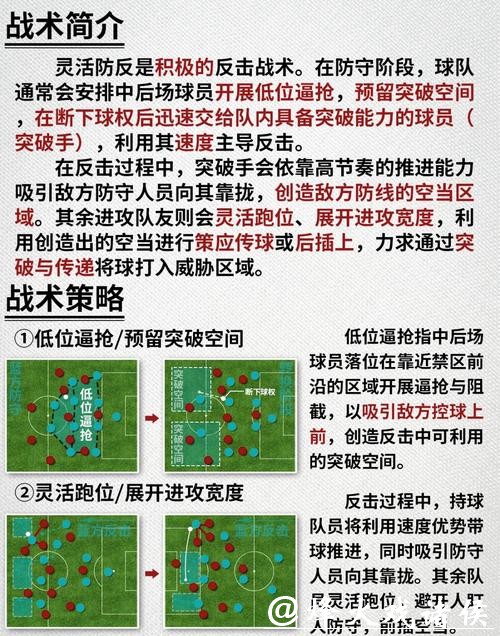 深入解析世界杯球队战术与战略调整